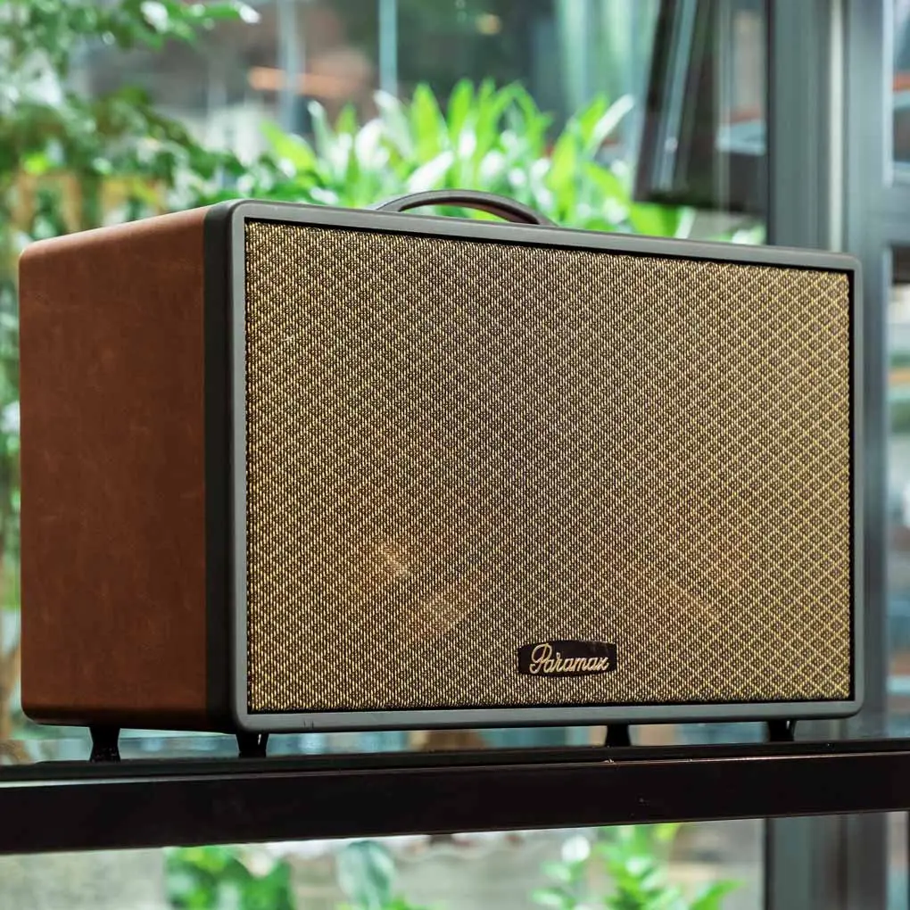 Loa Di Động Xách Tay Paramax Saga (Brown Leather) 7