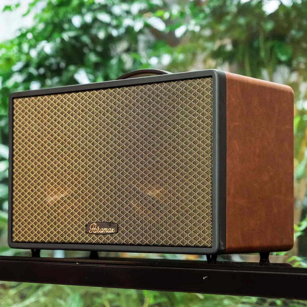 Loa Di Động Xách Tay Paramax Saga (Brown Leather) 8