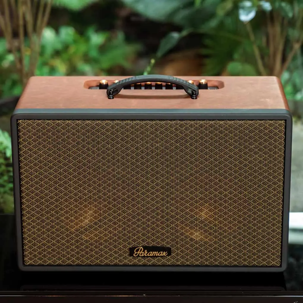 Loa Di Động Xách Tay Paramax Saga (Brown Leather) 9