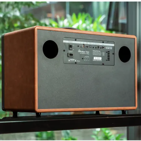 Loa Di Động Xách Tay Paramax Saga (Brown Leather) 10