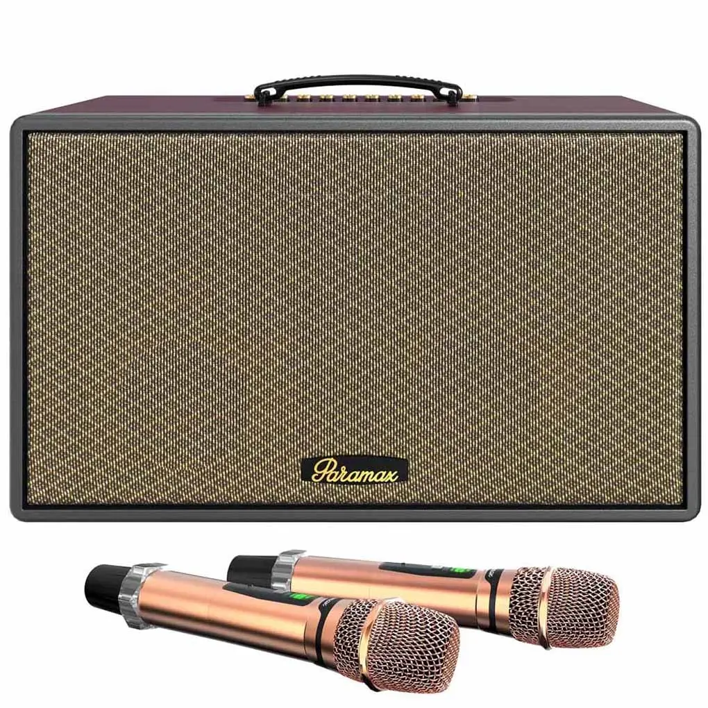 Loa Di Động Xách Tay Paramax Saga (Burgundy Leather)