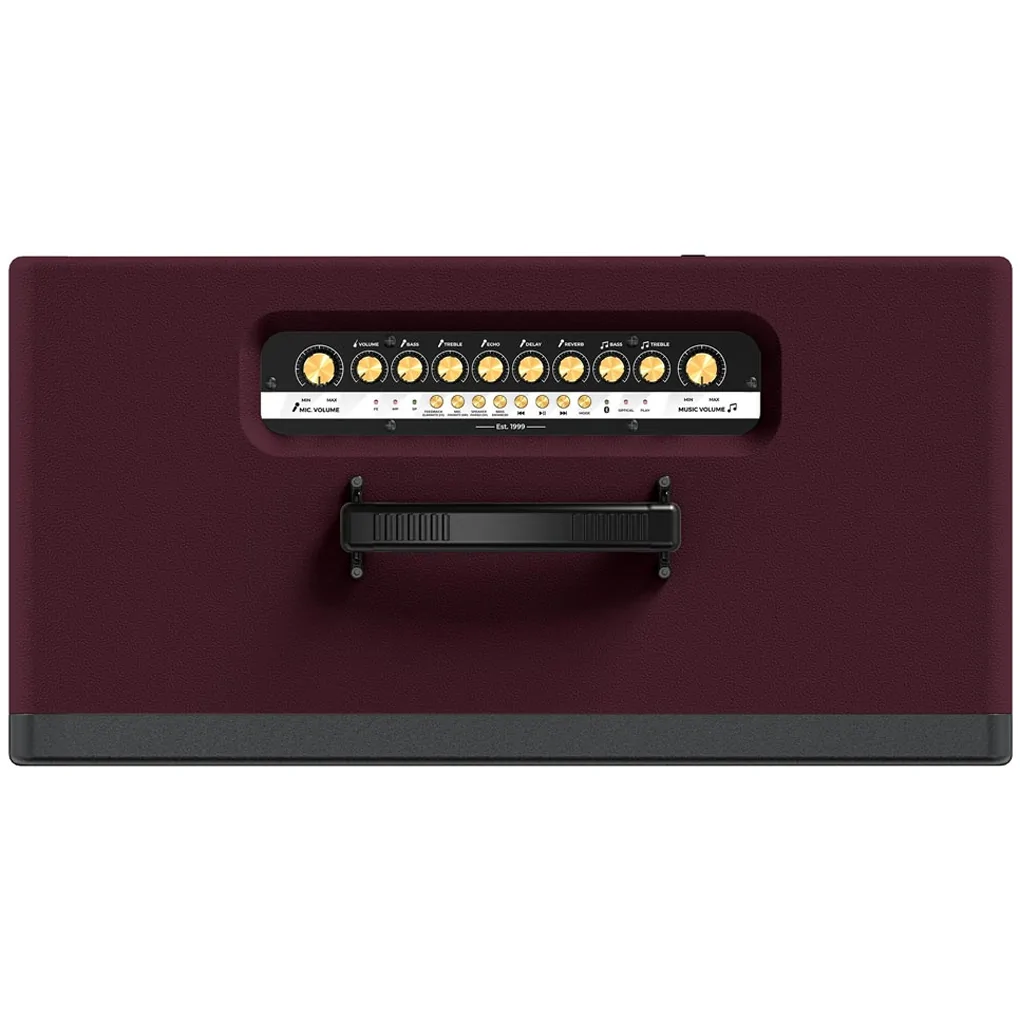 Loa Di Động Xách Tay Paramax Saga (Burgundy Leather) 2