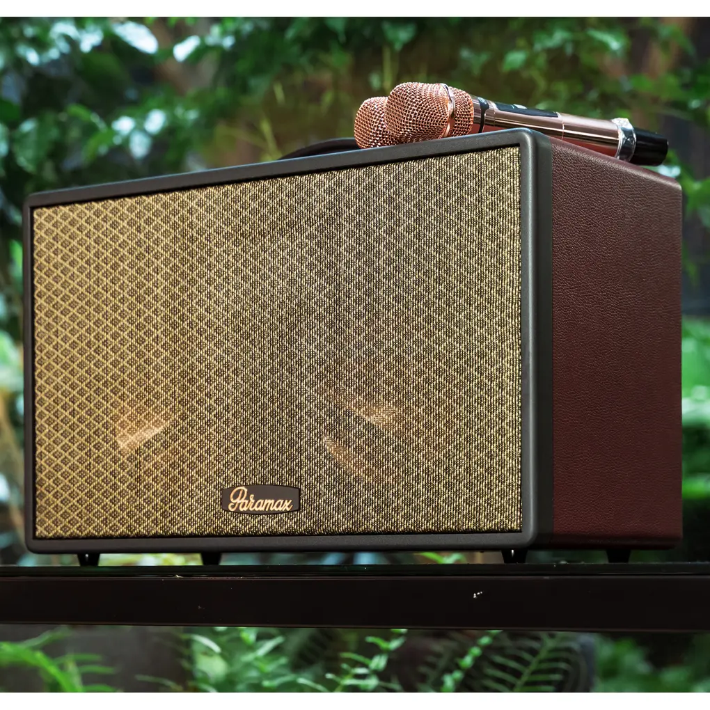 Loa Di Động Xách Tay Paramax Saga (Burgundy Leather) 3