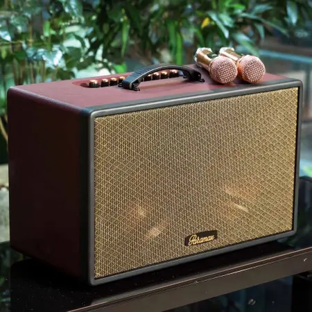 Loa Di Động Xách Tay Paramax Saga (Burgundy Leather) 4