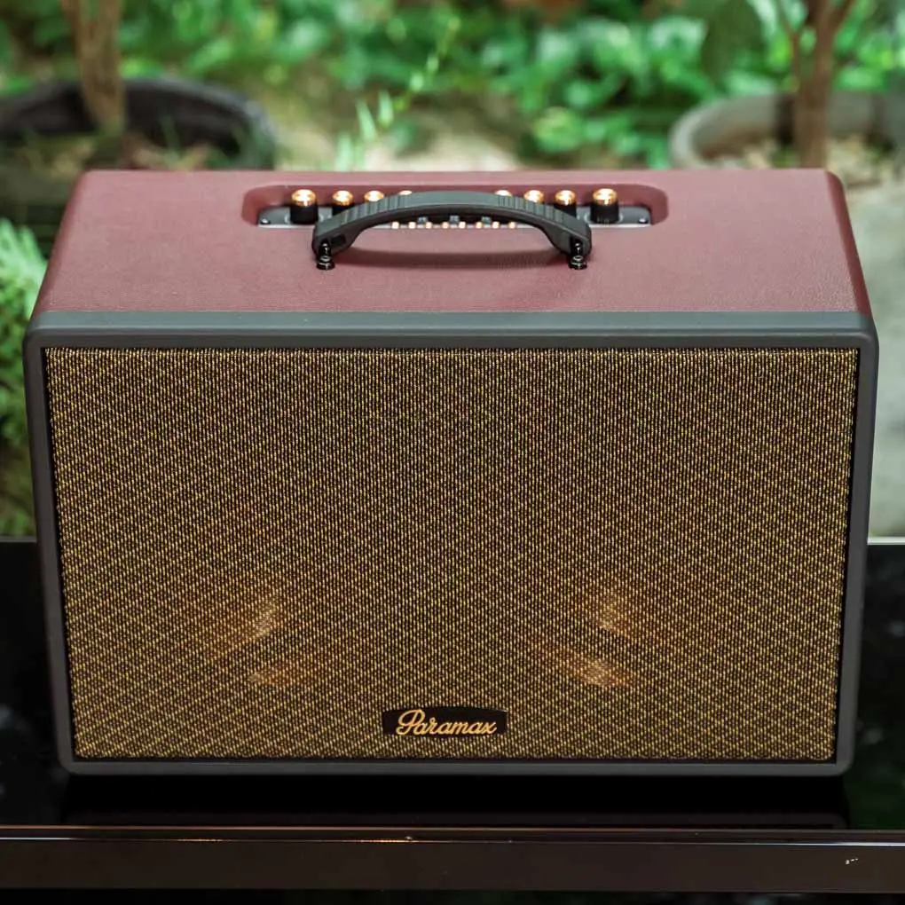 Loa Di Động Xách Tay Paramax Saga (Burgundy Leather) 5