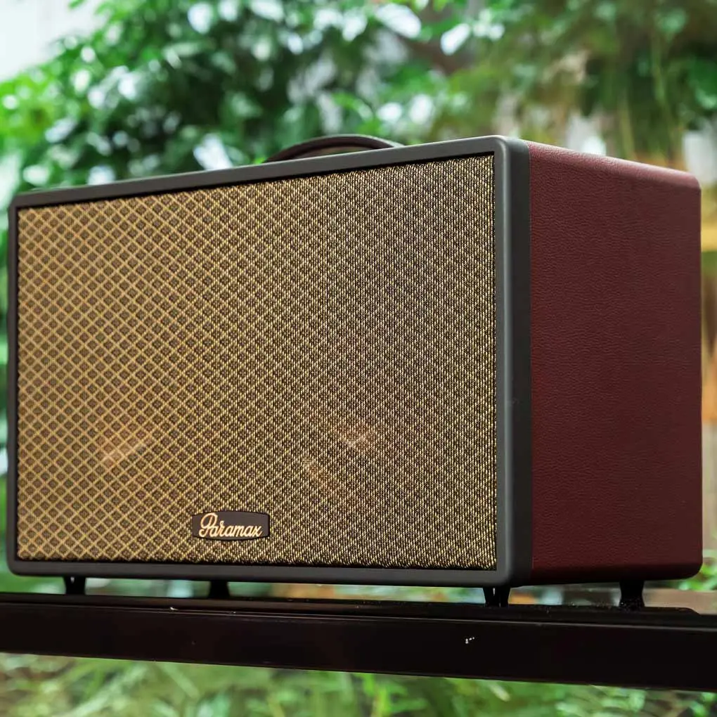 Loa Di Động Xách Tay Paramax Saga (Burgundy Leather) 6