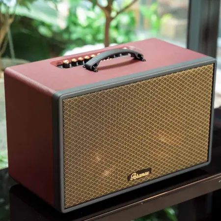 Loa Di Động Xách Tay Paramax Saga (Burgundy Leather) 8