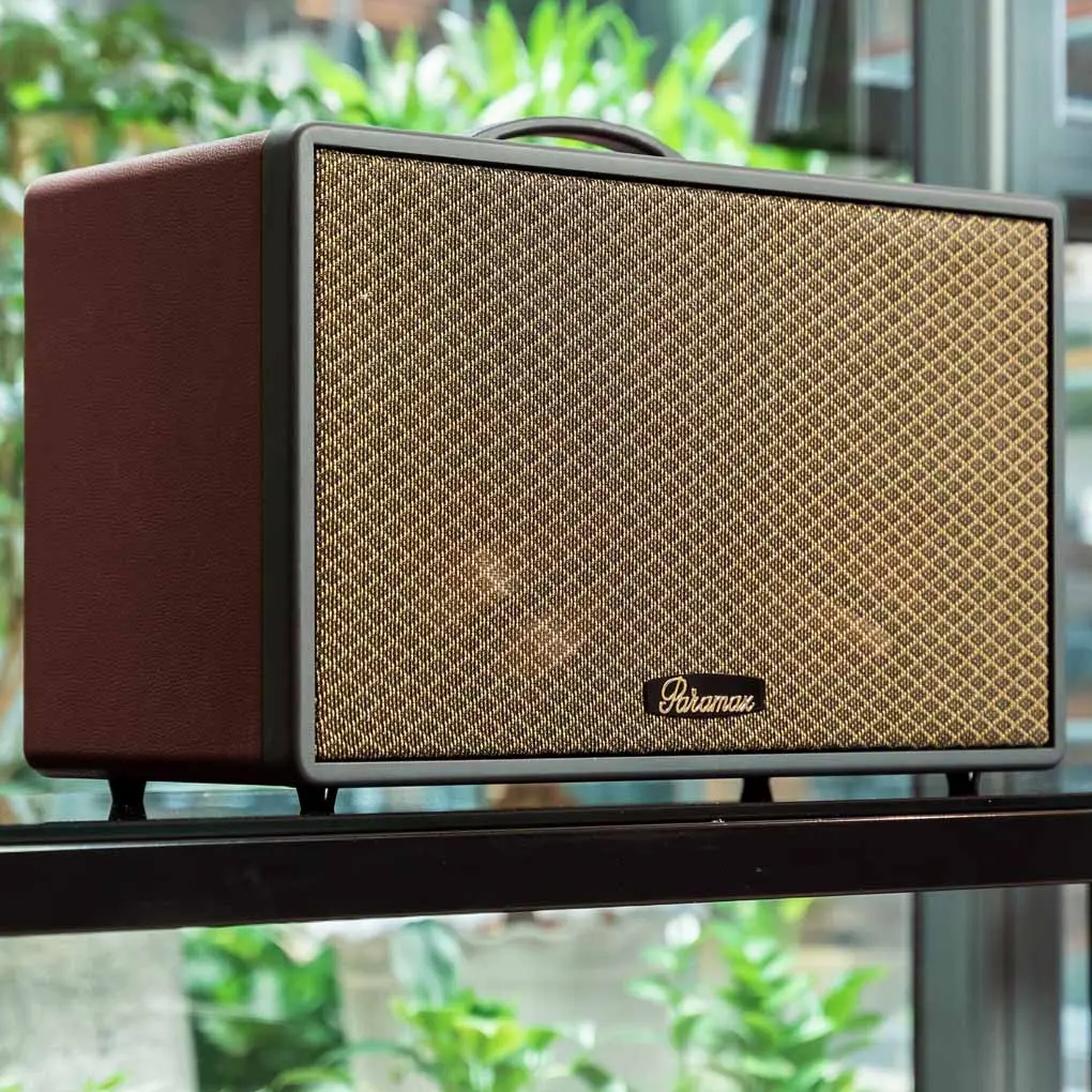 Loa Di Động Xách Tay Paramax Saga (Burgundy Leather) 9