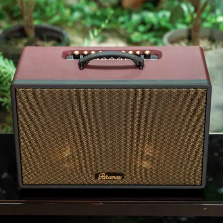 Loa Di Động Xách Tay Paramax Saga (Burgundy Leather) 10