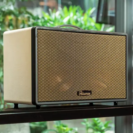 Loa Di Động Xách Tay Paramax Saga (Cream Leather) 3