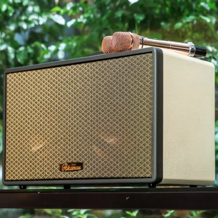 Loa Di Động Xách Tay Paramax Saga (Cream Leather) 4