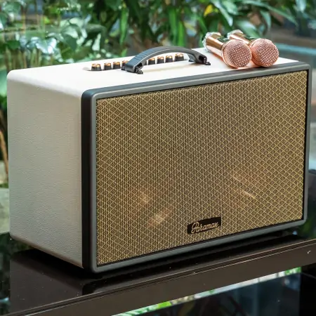 Loa Di Động Xách Tay Paramax Saga (Cream Leather) 5