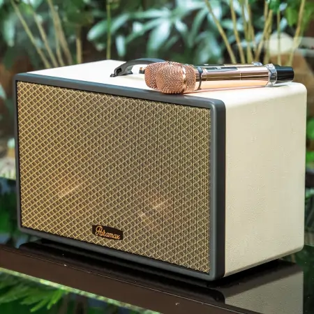 Loa Di Động Xách Tay Paramax Saga (Cream Leather) 8