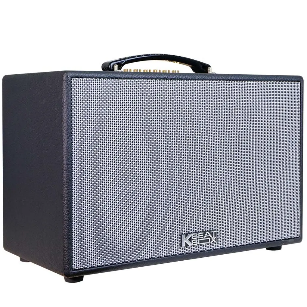 Loa Karaoke Xách Tay Acnos CS201PU 2