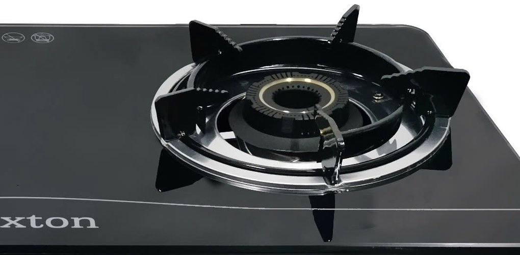 Bếp Gas Duxton DG-878 2