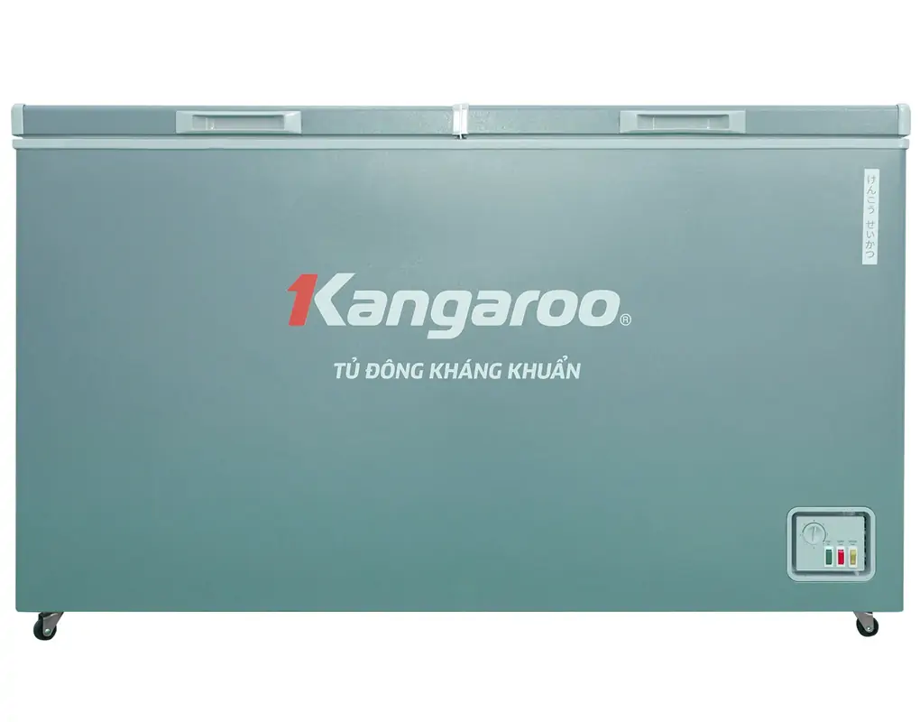 Inverter 375 Lít KGFZC375IG1