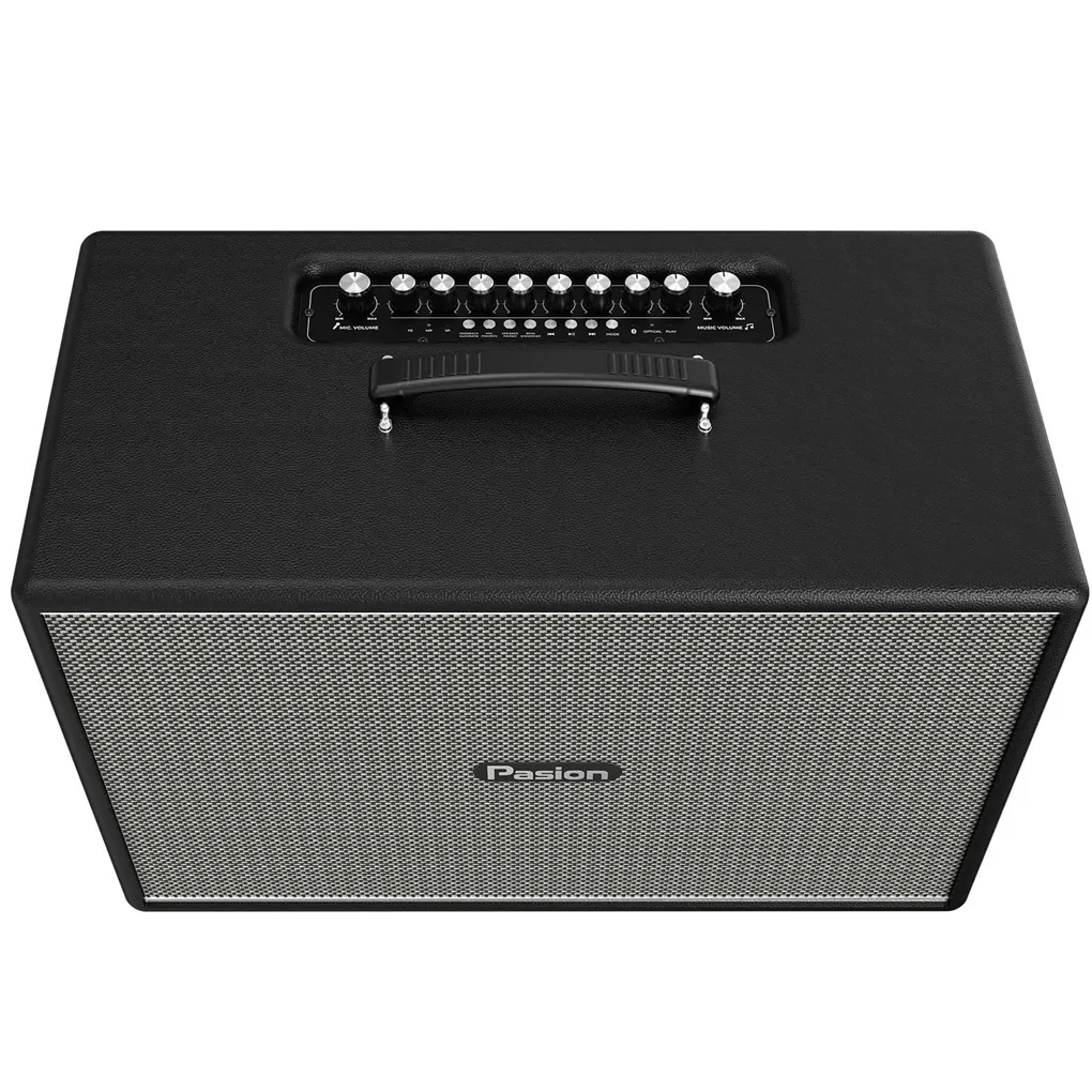 Loa Di Động Xách Tay Paramax PASION Mozo (Màu Đen) 1