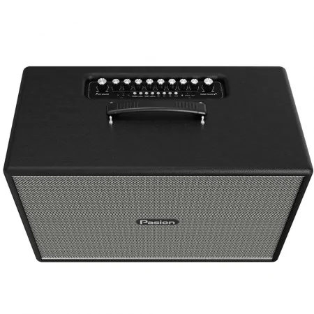 Loa Di Động Xách Tay Paramax PASION Mozo (Màu Đen) 1