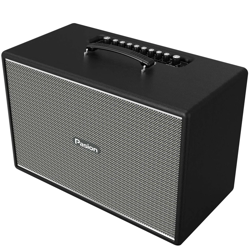 Loa Di Động Xách Tay Paramax PASION Mozo (Màu Đen) 2