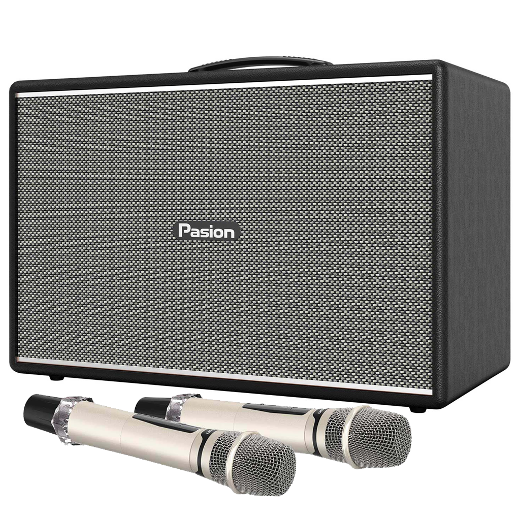 Loa Di Động Xách Tay Paramax PASION Mozo (Màu Đen) 0