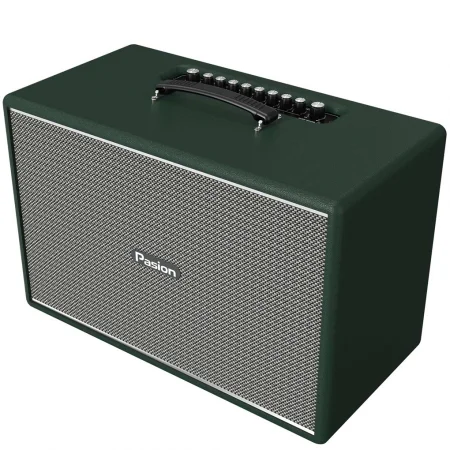 Loa Di Động Xách Tay Paramax PASION Mozo (Màu Xanh Lá) 3