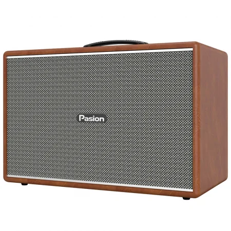 Loa Di Động Xách Tay Paramax PASION Mozo (Màu Nâu) 1