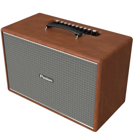 Loa Di Động Xách Tay Paramax PASION Mozo (Màu Nâu) 2