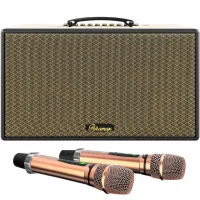 Loa Karaoke Di Động Xách Tay Paramax Aura (Cream Leather)