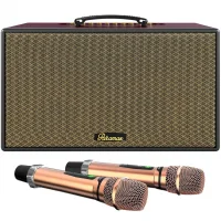 Loa Karaoke Di Động Xách Tay Paramax Aura (Burgundy Leather)