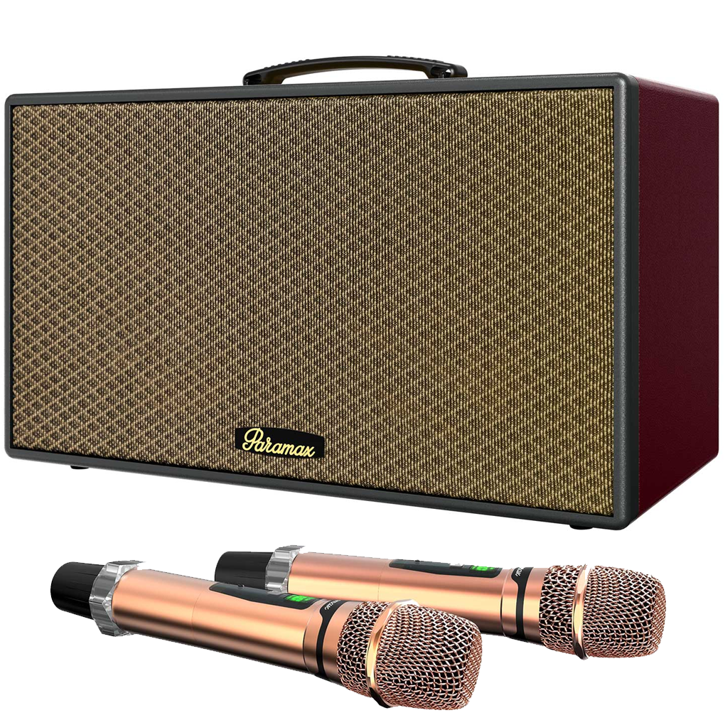 Loa Karaoke Di Động Xách Tay Paramax Aura (Burgundy Leather) 0