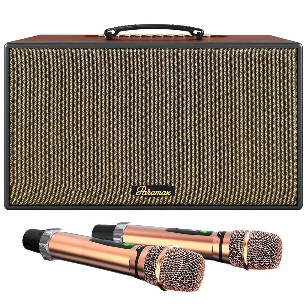 Loa Karaoke Di Động Xách Tay Aura (Brown Leather)