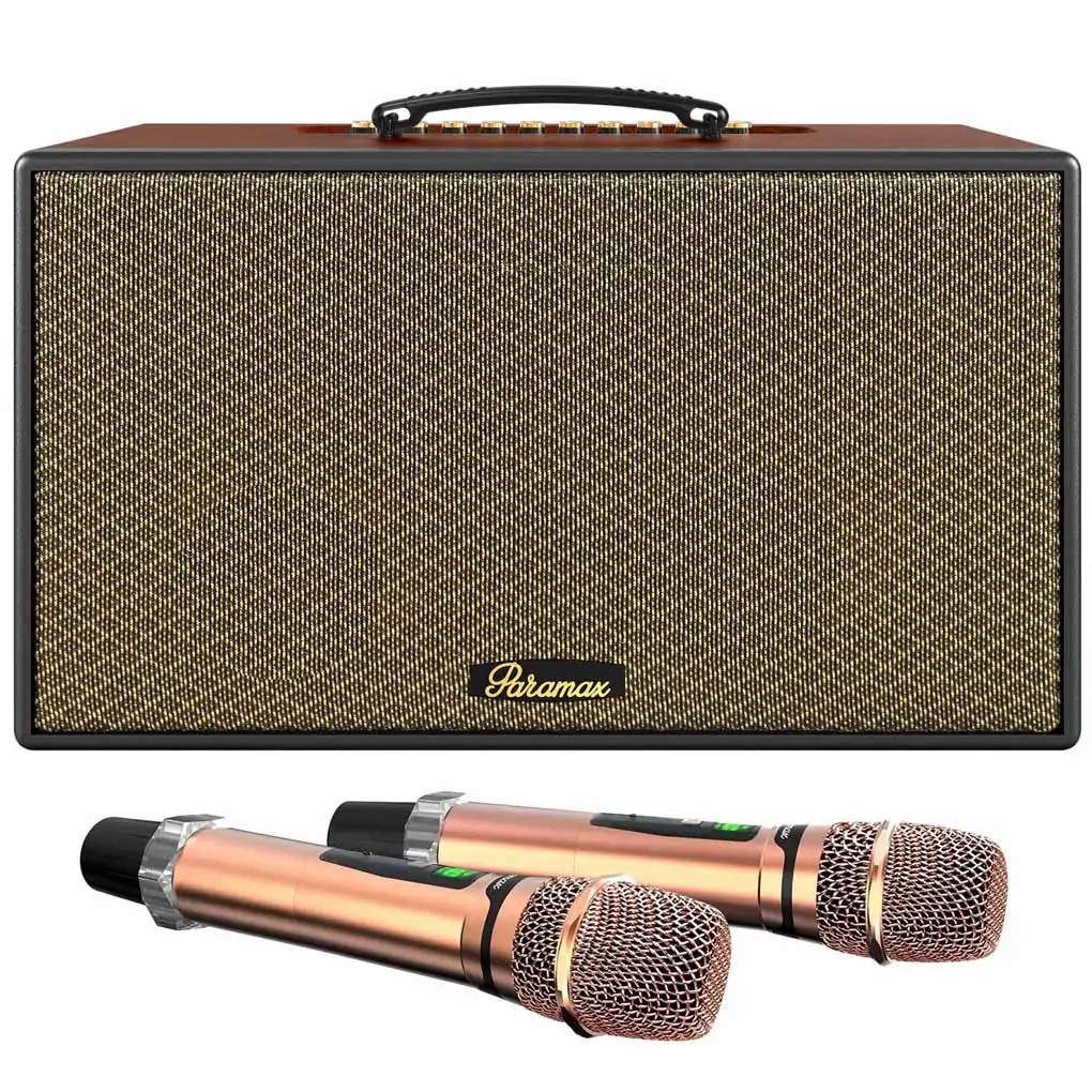 Loa Karaoke Di Động Xách Tay Paramax Aura (Brown Leather)