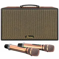 Loa Karaoke Di Động Xách Tay Paramax Aura (Brown Leather)