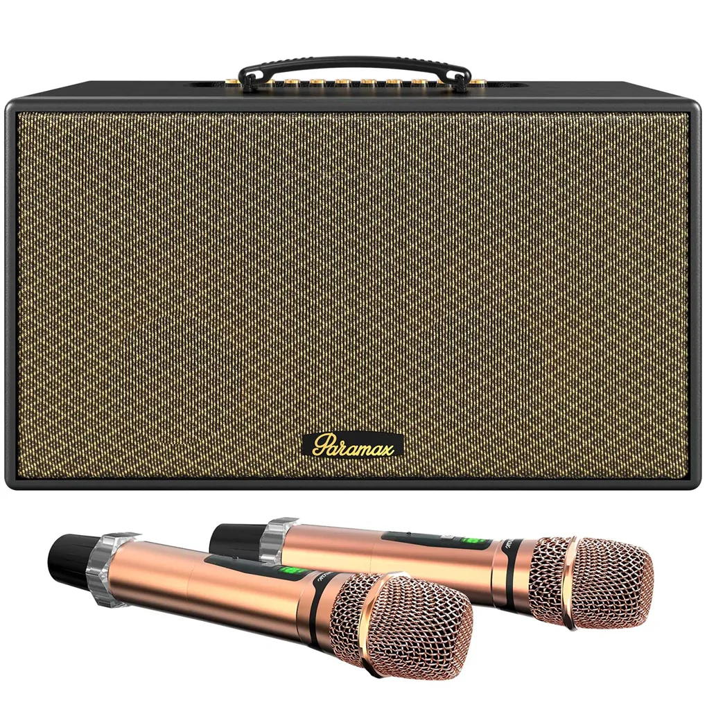 Loa Karaoke Di Động Xách Tay Paramax Aura (Black Leather) 0