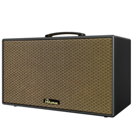 Loa Karaoke Di Động Xách Tay Paramax Aura (Black Leather) 0