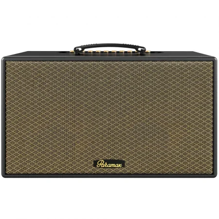 Loa Karaoke Di Động Xách Tay Paramax Aura (Black Leather) 1