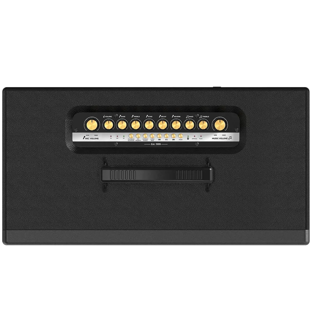 Loa Karaoke Di Động Xách Tay Paramax Aura (Black Leather) 3