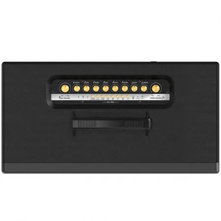 Loa Karaoke Di Động Xách Tay Paramax Aura (Black Leather) 2