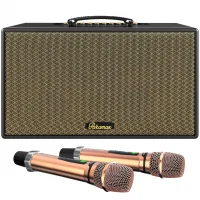 Loa Karaoke Di Động Xách Tay Paramax Aura (Black Leather)