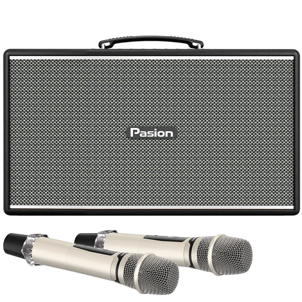 Loa Di Động Xách Tay Paramax PASION Enzo (Black Leather)