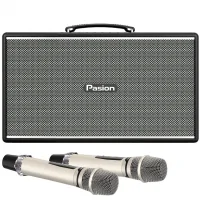 Loa Di Động Xách Tay Paramax PASION Enzo (Black Leather)