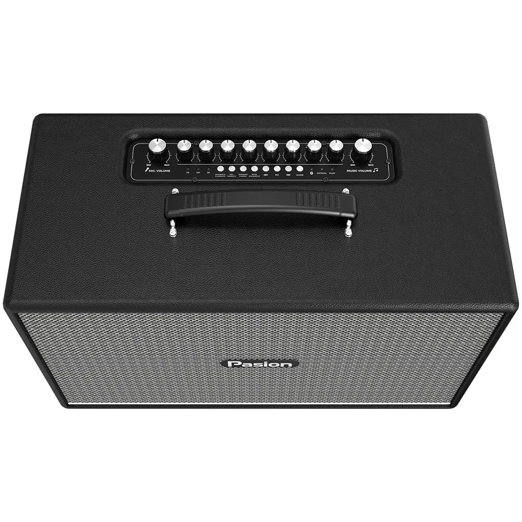 Loa Di Động Xách Tay Paramax PASION Enzo (Black Leather) 1