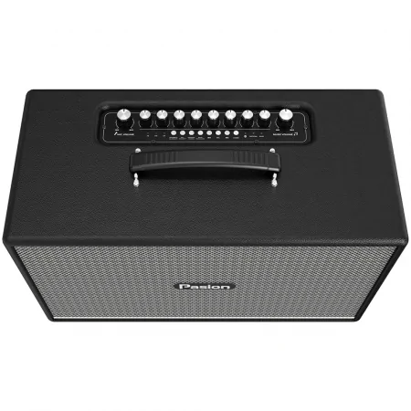 Loa Di Động Xách Tay Paramax PASION Enzo (Black Leather) 1