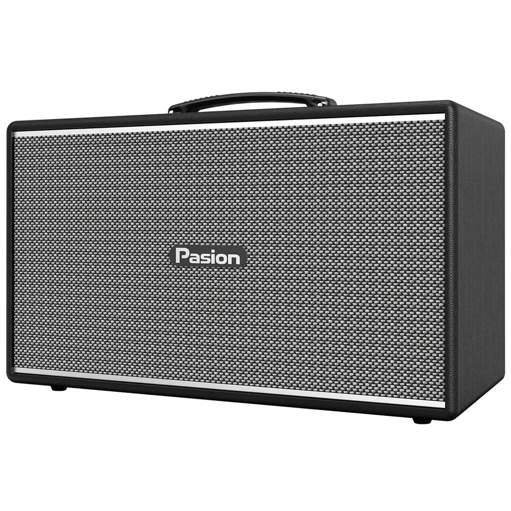 Loa Di Động Xách Tay Paramax PASION Enzo (Black Leather) 2