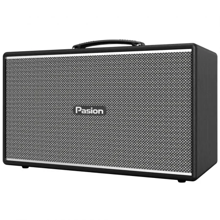 Loa Di Động Xách Tay Paramax PASION Enzo (Black Leather) 2