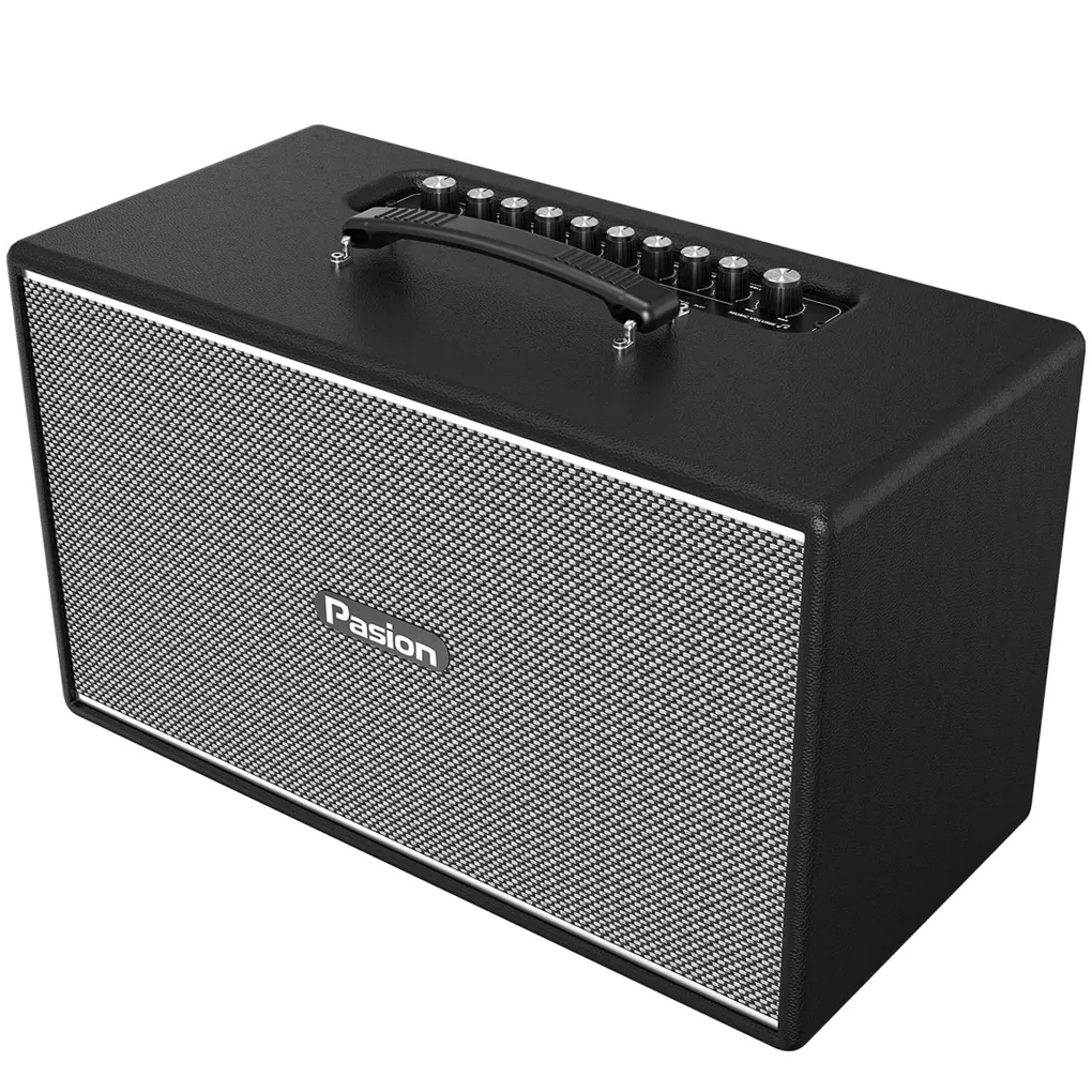 Loa Di Động Xách Tay Paramax PASION Enzo (Black Leather) 3