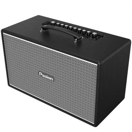 Loa Di Động Xách Tay Paramax PASION Enzo (Black Leather) 3