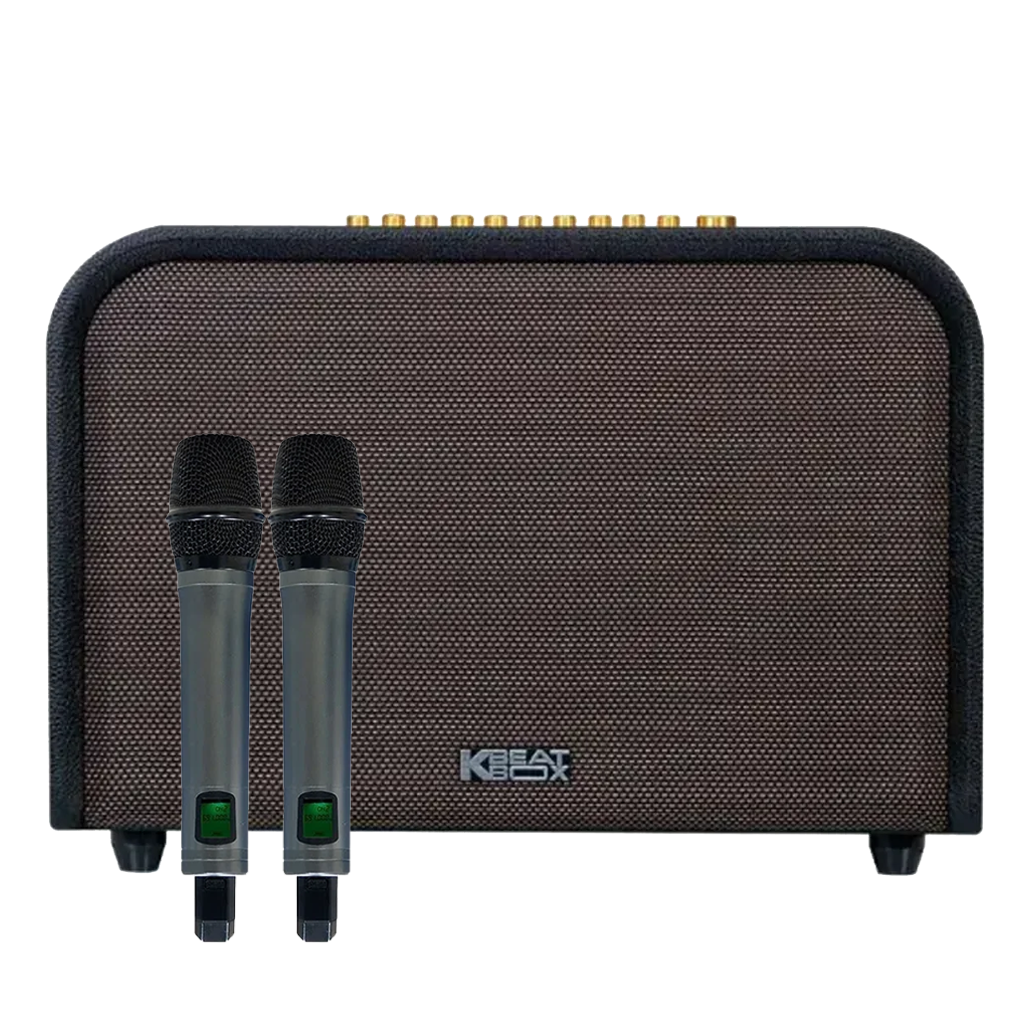 Loa Karaoke Xách Tay Acoustic 3 (Màu Đen)