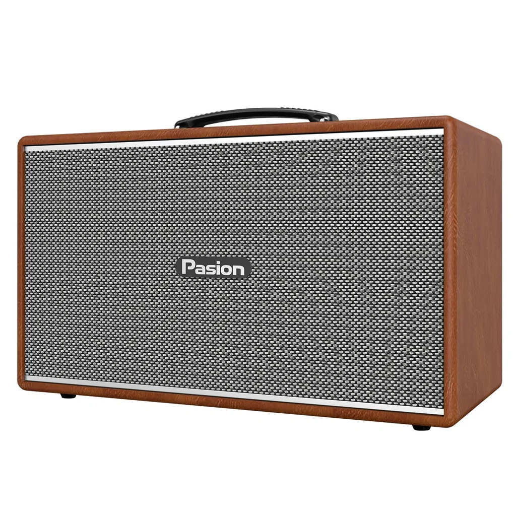 Loa Di Động Xách Tay Paramax PASION Enzo (Brown Leather) 0