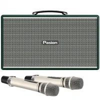 Loa Di Động Xách Tay Paramax PASION Enzo (Green Leather)